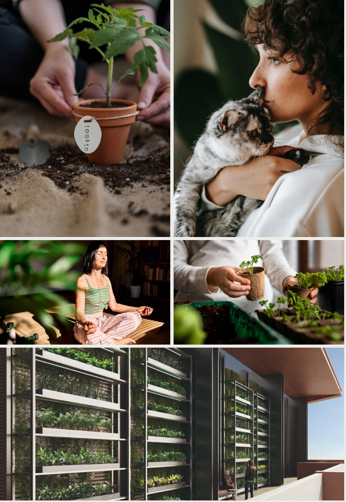 Weybridge_Gardens_page-0007